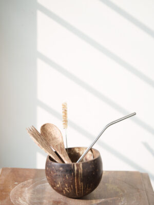 Combo-Coconut Bowl + Cutlery + Stainless Steel Straw + Straw Cleaner