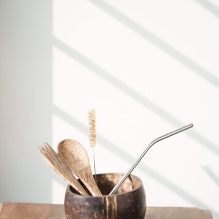 Combo-Coconut Bowl + Cutlery + Stainless Steel Straw + Straw Cleaner