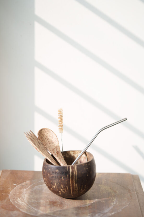 Combo-Coconut Bowl + Cutlery + Stainless Steel Straw + Straw Cleaner